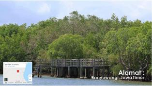 Teluk Pang-Pang
